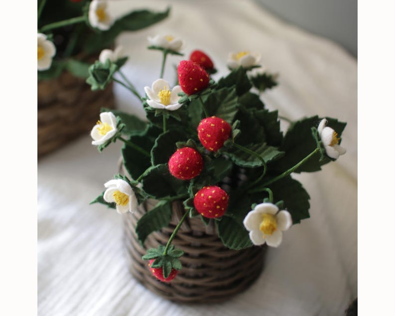 Puede incluir: Una planta de fresas en miniatura en una cesta tejida. La planta presenta fresas rojas brillantes, flores blancas con centros amarillos y hojas verdes. La cesta est&aacute; hecha de material tejido marr&oacute;n.