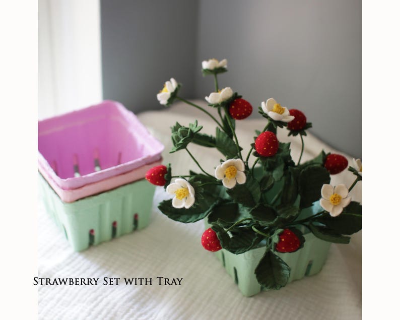 Puede incluir: Un juego de fresas con bandeja. El juego incluye una cesta de bayas verde claro con una planta de fresa y una pila de cestas de bayas rosas y verde claro. La planta de fresa tiene fresas rojas y flores blancas.