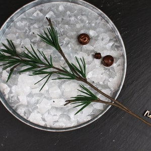 Long Needle Pine Branch, Pine branch, Holiday Decoration, Christmas, Felt flower, Pine tree, Floral arrangement, Wall hang, Minimalism
