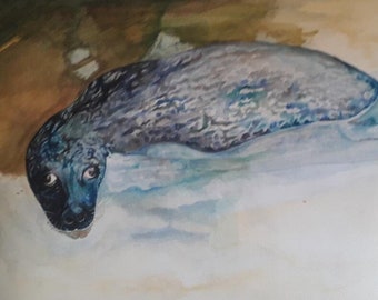 Romo the seal watercolour