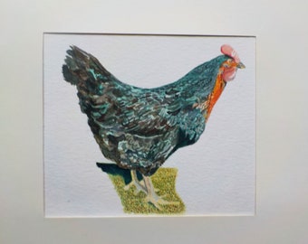 Hens in watercolour, two paintings.