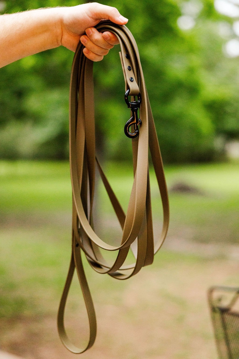 Biothane Long Line 30ft, Tracking Lead, K9 Leash Etsy