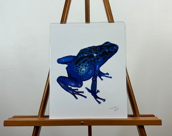 Poison Dart Frog Original Art Print