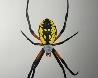 Garden Spider Original Colored Pencil Art