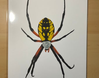 Garden Spider Original Art Print