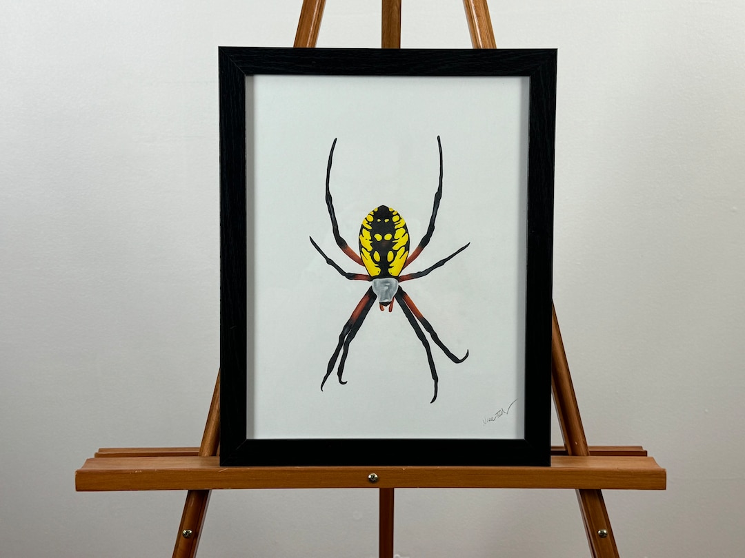 Garden Spider Original Colored Pencil Art