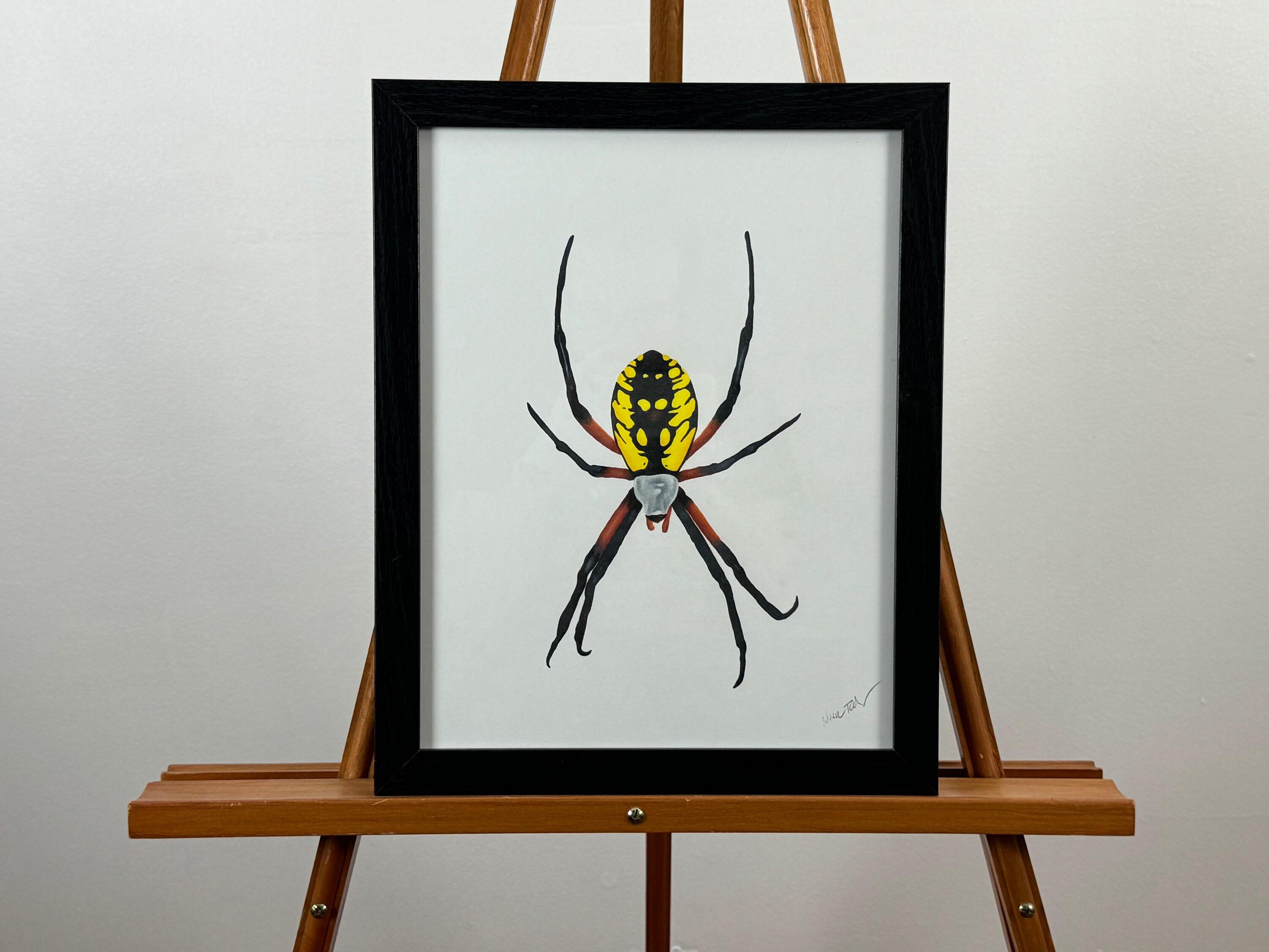 Garden Spider Original Colored Pencil Art