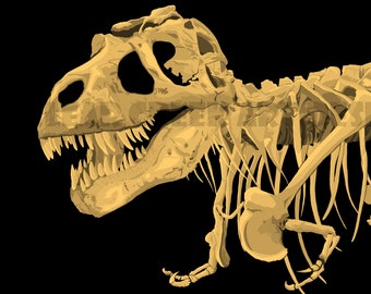 T-Rex Skeleton Original Digital File