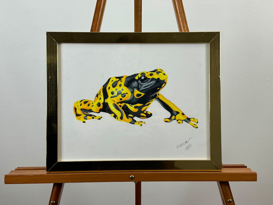 Yellow-Banded Poison Dart Frog Original Colored Pencil Art Piece