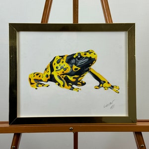 Yellow-Banded Poison Dart Frog Original Colored Pencil Art Piece 5.0 (10)