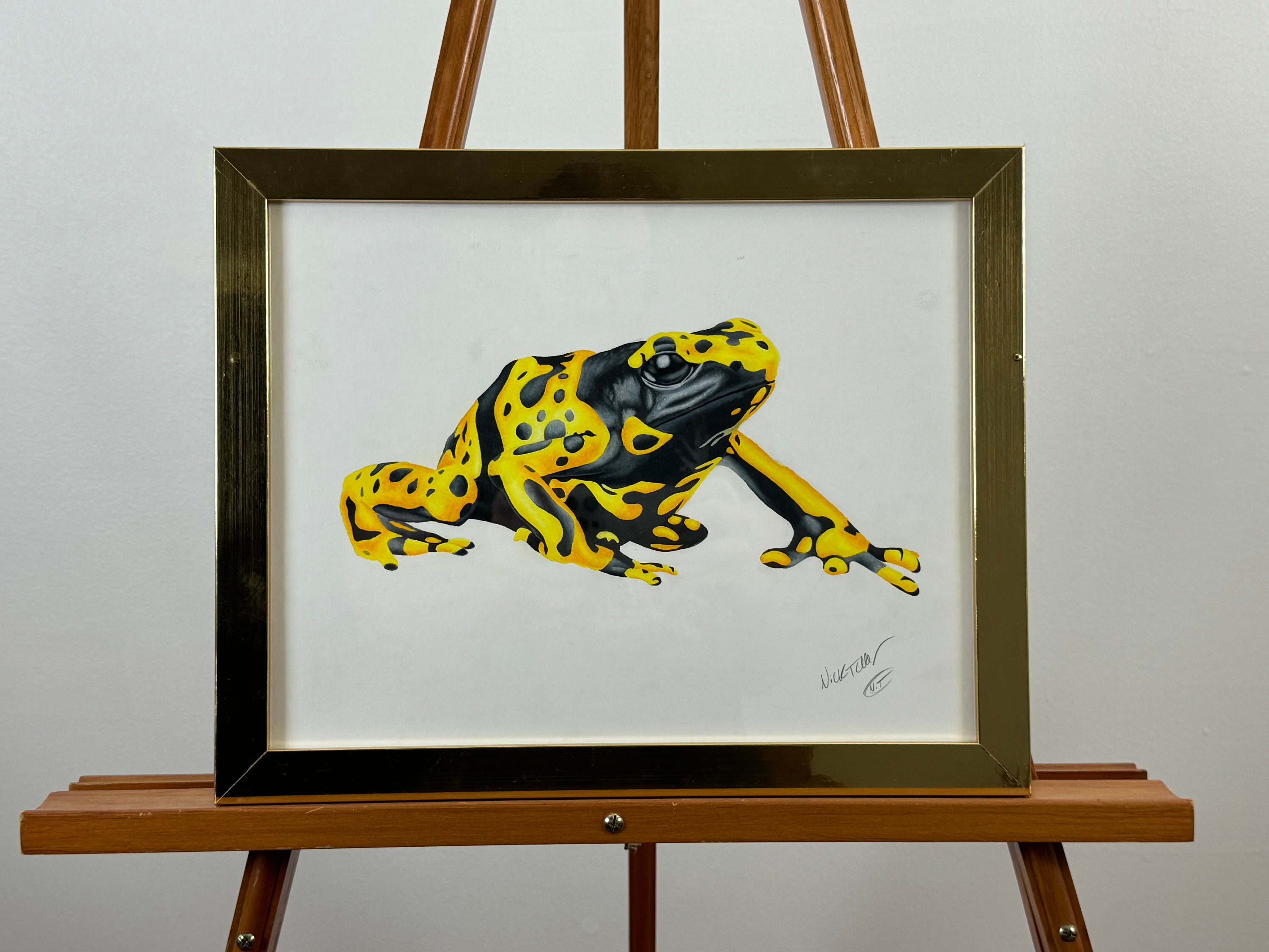 Yellow-Banded Poison Dart Frog Original Colored Pencil Art Piece