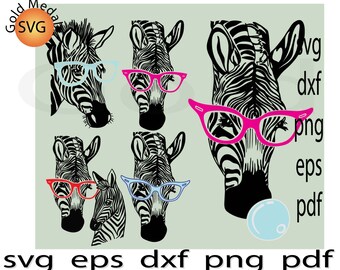 Download Zebra Mandala Svg Etsy