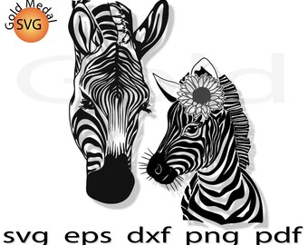Download Zebra Mandala Svg Etsy