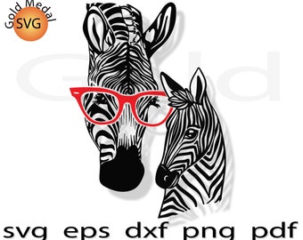 Download Zebra Mandala Svg Etsy