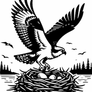 5 águilas pescadoras SVG – 5 nidos de pájaro – Arte vectorial de vida silvestre para amantes de la naturaleza y manualidades al aire libre