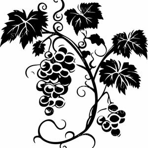 May include: A black and white silhouette of a grape vine with grapes hanging from the branches. The vine is stylized with swirls and curls.