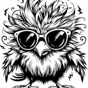 4 uccelli con occhiali da sole SVG, 4 divertenti silhouette di uccelli in formato SVG, clipart di uccelli eccentrici, vettore di uccelli hipster, design Cricut