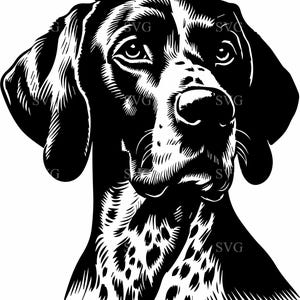Perro de muestra SVG, 4 archivos de corte de silueta de perro de caza detallados, diseño de perro al aire libre SVG para Cricut y Silhouette