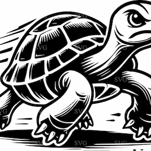 6 Speedy Turtle SVG-klippfiler | Springande djur Clipart (digital nedladdning)