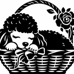 4 Pudel-Welpen SVG, 4 schlafender Hund im Korb mit Schleifen und Rose Schnittdatei, perfekt für Cricut und Silhouette Crafts