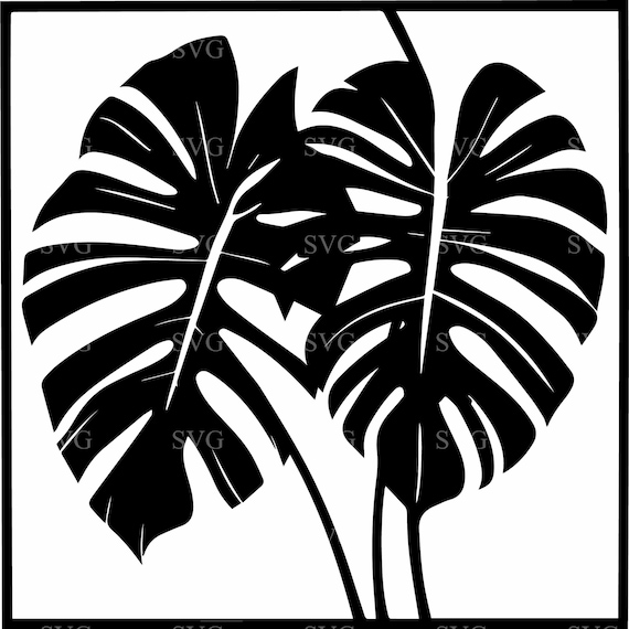 8 Monstera Leaf SVG, Tropical Plant Silhouette, Botanical Wall Art (cut  File) - Etsy Israel