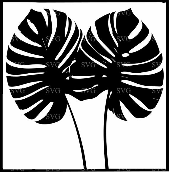8 Monstera Leaf SVG, Tropical Plant Silhouette, Botanical Wall Art (cut  File) - Etsy Israel