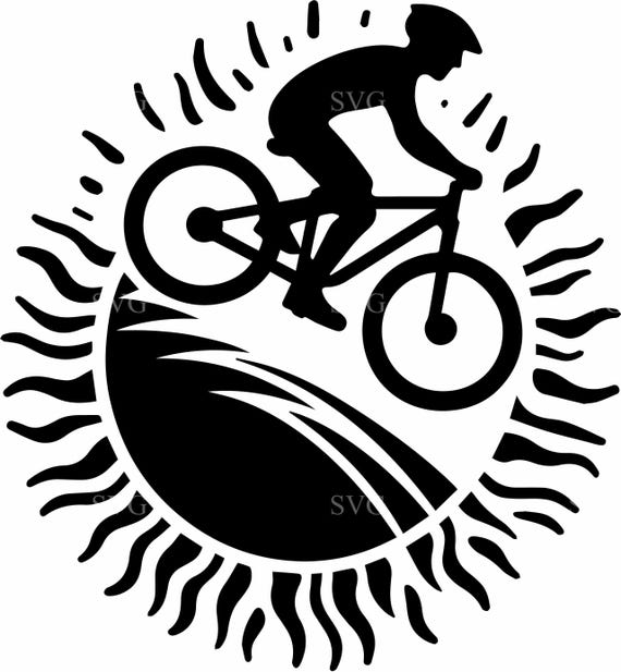 gebrauchte mountainbikes fully Haibike AllMTN CF 8 E-Mountainbike Gebraucht | Generalberholt