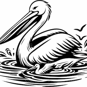 4 Pelikan SVG - 4 Elegante Pelikan auf Wasser Clipart für DIY Handwerk, Abziehbilder & Designs mit Naturbezug
