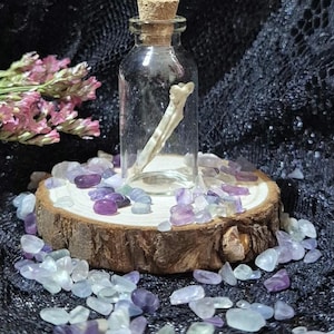 May include: A small, clear glass bottle with a cork stopper, containing a bone fragment. The bottle rests on a wooden slice surrounded by purple and clear gemstones. Pink dried flowers are in the background.