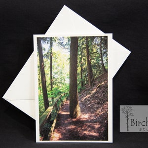 May include: A photograph of a path through a forest. The path is lined with trees and a wooden railing. The sun is shining through the trees, creating a dappled light effect on the path.