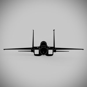 F-15 Eagle Steel Wall Art