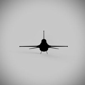 May include: A black silhouette of a fighter jet against a white background.