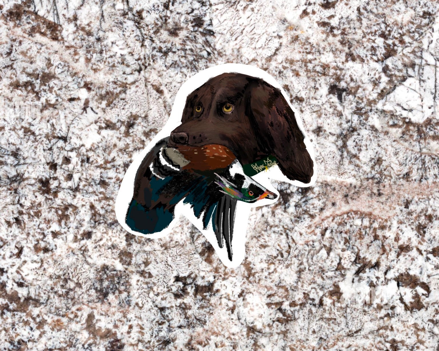 Boykin Spaniel Wood Duck - Etsy