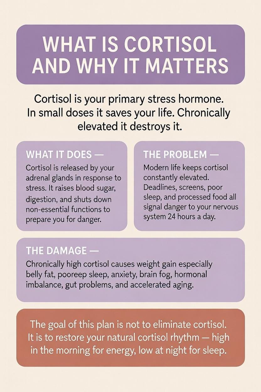Cortisol Reset Plan — Printable Guide to Lower Stress Hormones, Reduce ...