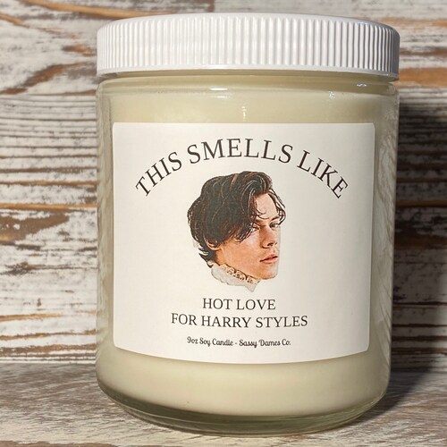 This Smells Like Harry Styles Hot Love Funny Candles Pop Etsy