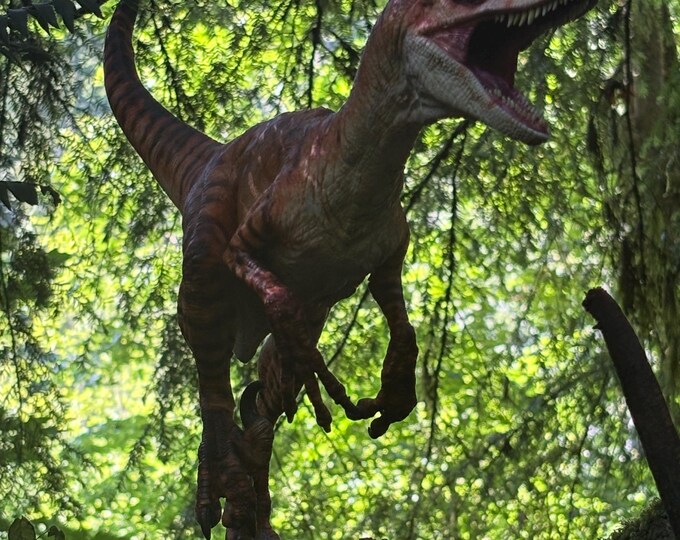 Jurassic Park Velociraptor Custom 1/5 - Etsy