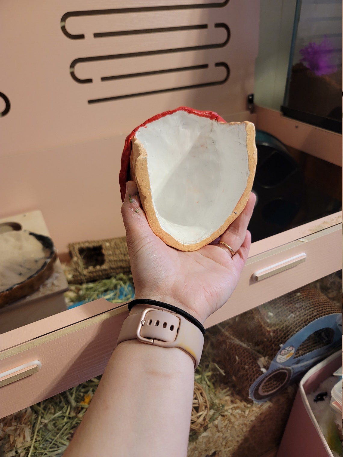 mushroom hamster hide mushroom hamster hide