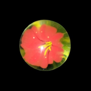 May include: A glass marble with a red flower design inside. The flower has a yellow center and is surrounded by a green and yellow background.