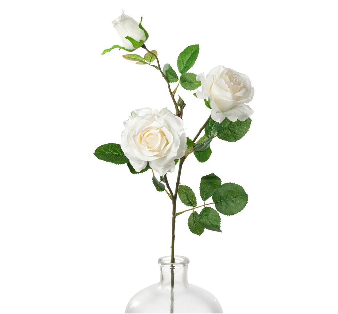 30 Roses Spray 30