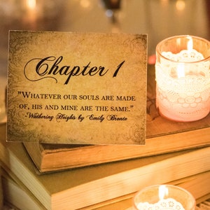 Love Story Wedding Table Numbers with Literary Quotes image 1