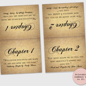 Love Story Wedding Table Numbers with Literary Quotes image 2