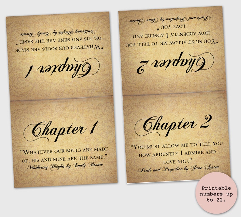 Love Story Wedding Table Numbers with Literary Quotes image 2