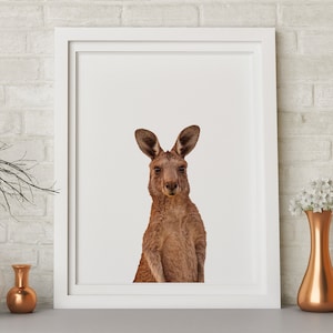 Kangaroo Wall Print, Kangaroo Poster, Australian Native Animal Decor - Printable Wall Art **Instant Download**