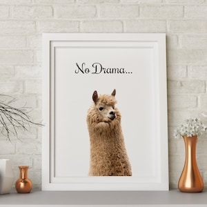 No Drama Llama Wall Print, Llama Poster - Stylized Photo Art - Printable Wall Art **Instant Download**