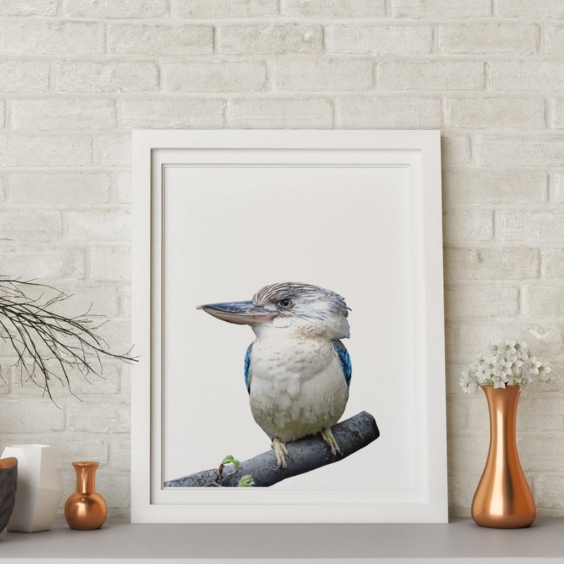 Australian Kookaburra Wall Print Kookaburra Poster Etsy Australia