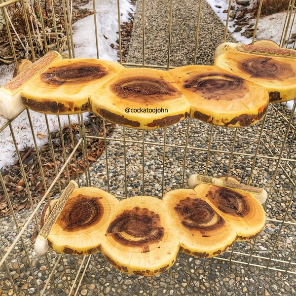 Giant Hardwood Corner Disk Perch