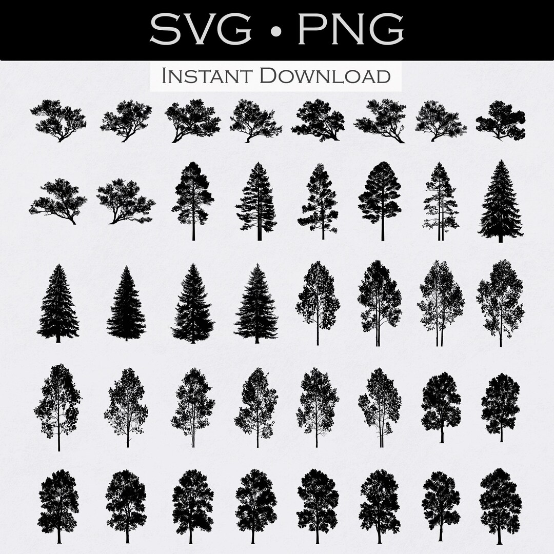Colorado Tree SVG Bundle 40 Pack Aspen Evergreen Oak Juniper PNG Forest ...