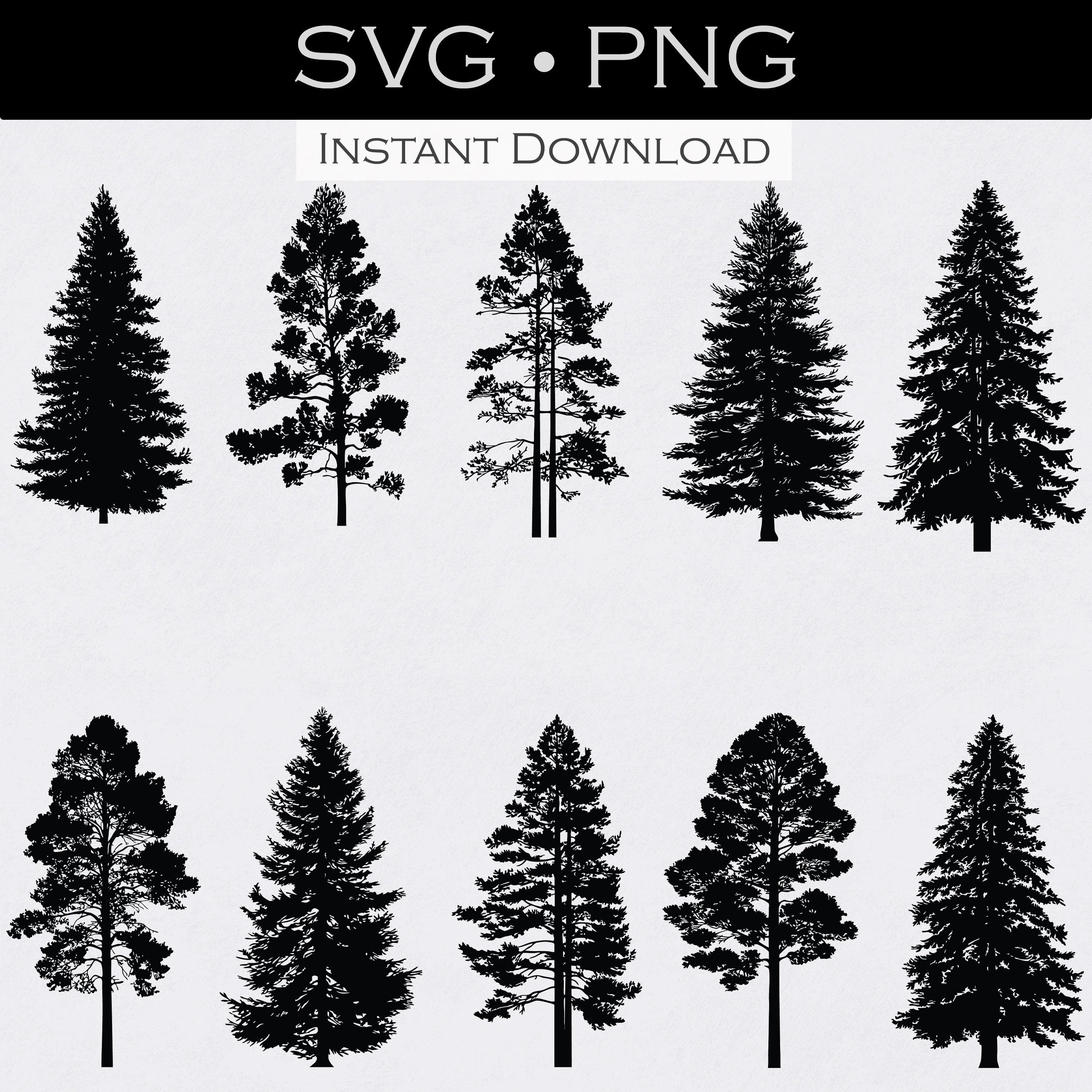 Colorado Tree SVG Bundle 40 Pack Aspen Evergreen Oak Juniper PNG Forest ...
