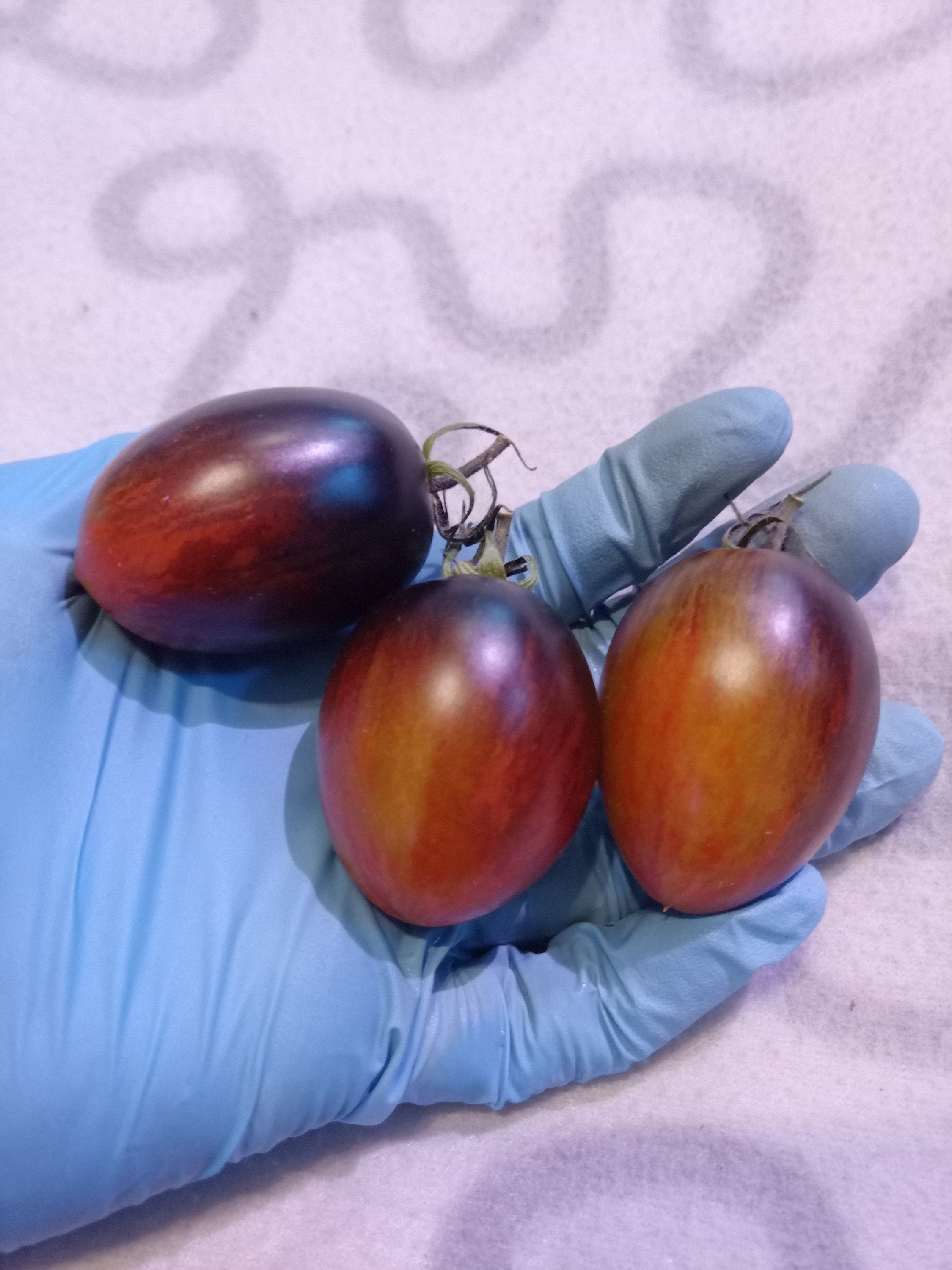 Brad's Atomic Grape Tomato / Acid Trip Tomatoes Sabor Etsy España