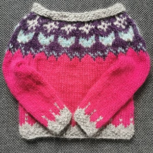 May include: A pink knitted sweater with a grey and purple patterned yoke. The sweater has a crew neck and long sleeves.